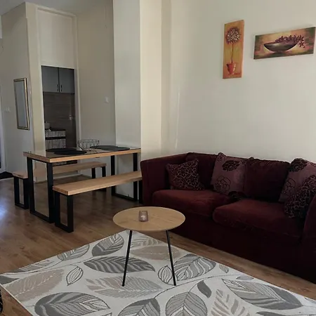 Апартаменты Milica Kremna